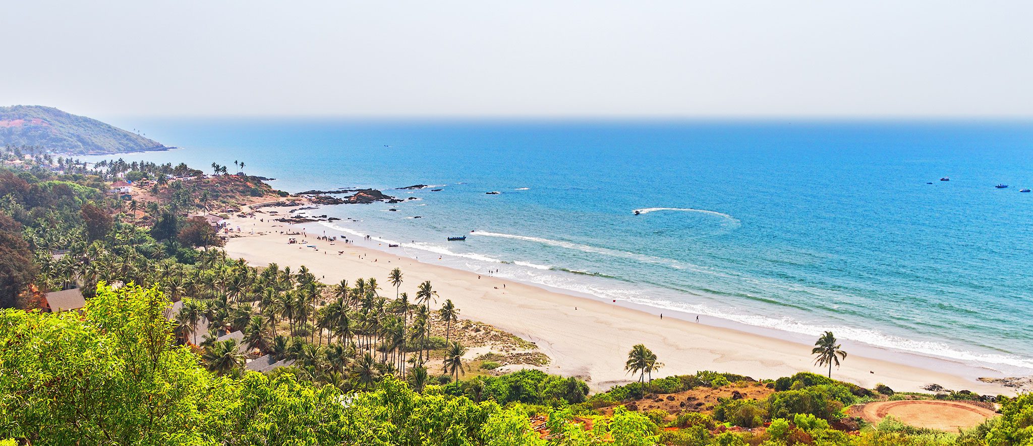 Goa, India -- tropical beach and palm coastline